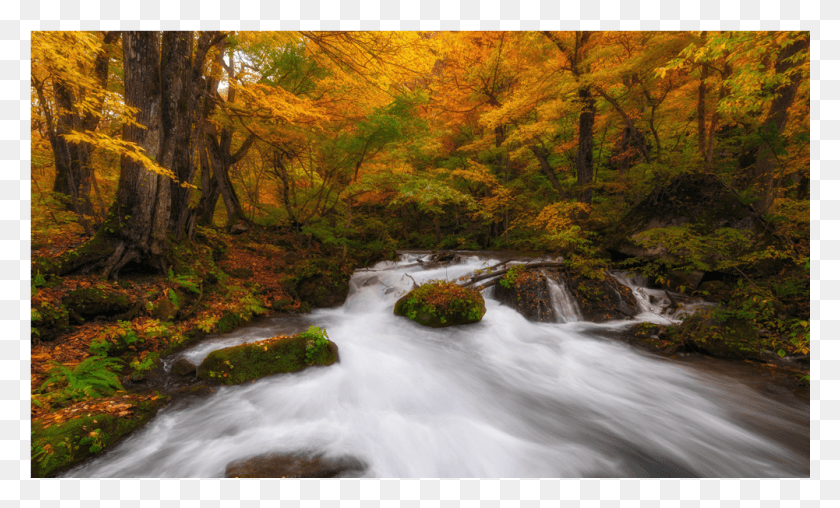 1001x576 Score 50 Tributary, Nature, Water, Outdoors HD PNG Download