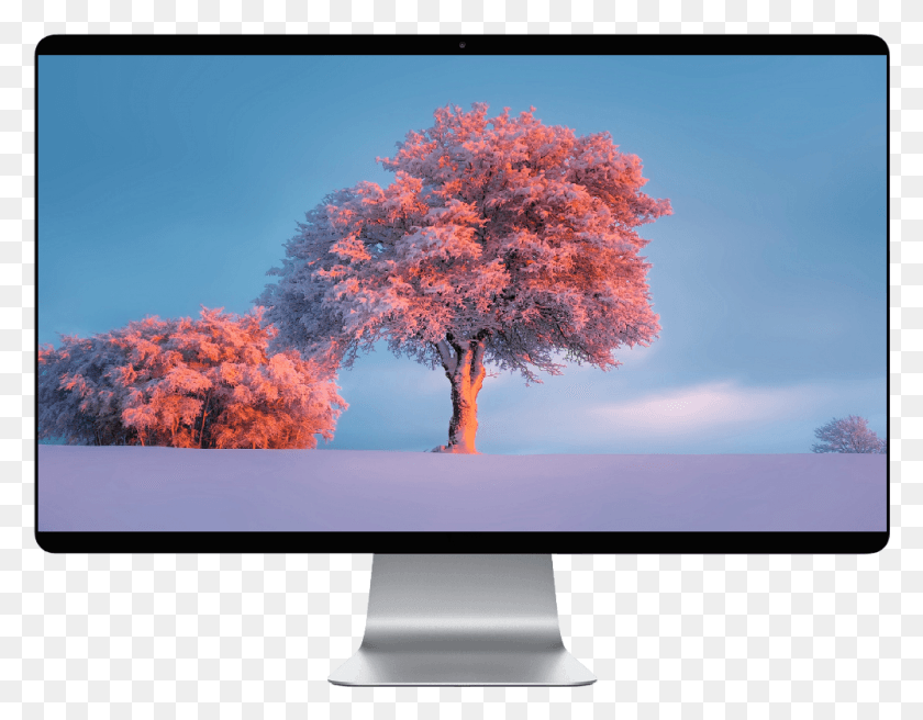 1001x766 Score 50 Winter Pink Wallpaper, Monitor, Screen, Electronics HD PNG Download