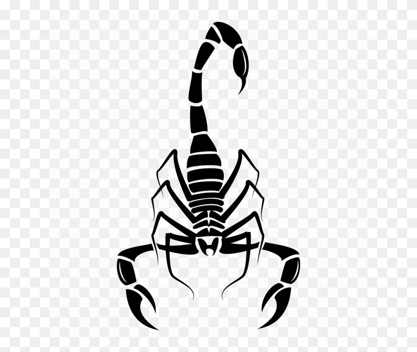 650x650 Scorpio Image Background, Stencil, Lawn Mower, Tool HD PNG Download