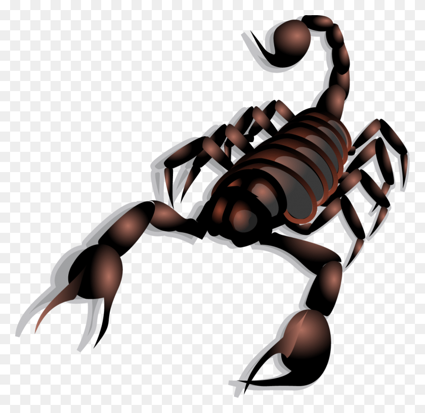 1173x1138 Scorpion Clipart Arthropod Scorpion Clip Art, Invertebrate, Animal, Person HD PNG Download