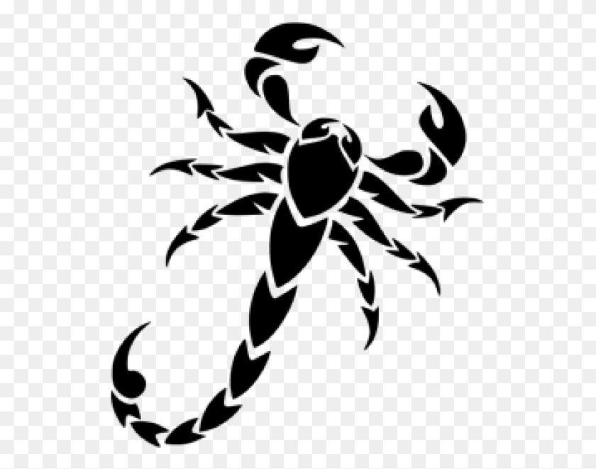 529x601 Scorpion Free Coat Of Arms Scorpions, Gray, World Of Warcraft HD PNG Download