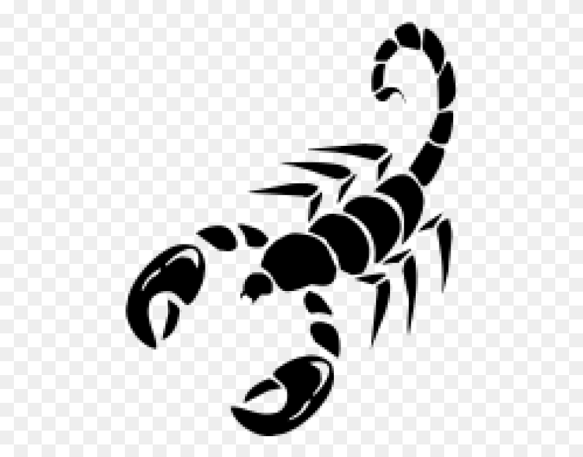 480x598 Scorpion Free Skorpion Tatu, Grey, World Of Warcraft Png