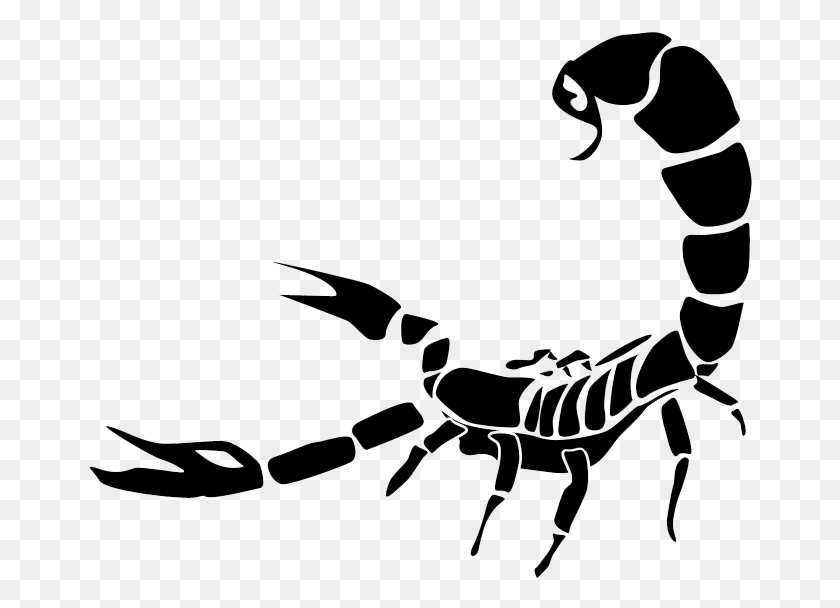 664x548 Scorpion Scorpion, Invertebrate, Animal, Bow HD PNG Download