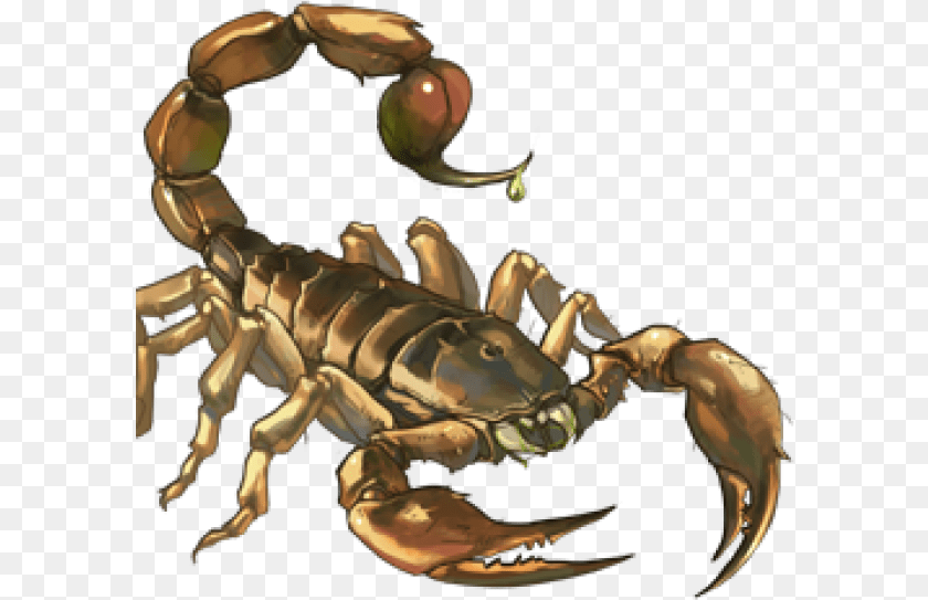 Scorpion Scorpion Pliers, Ball, Baseball, Baseball (ball), Sport Transparent PNG