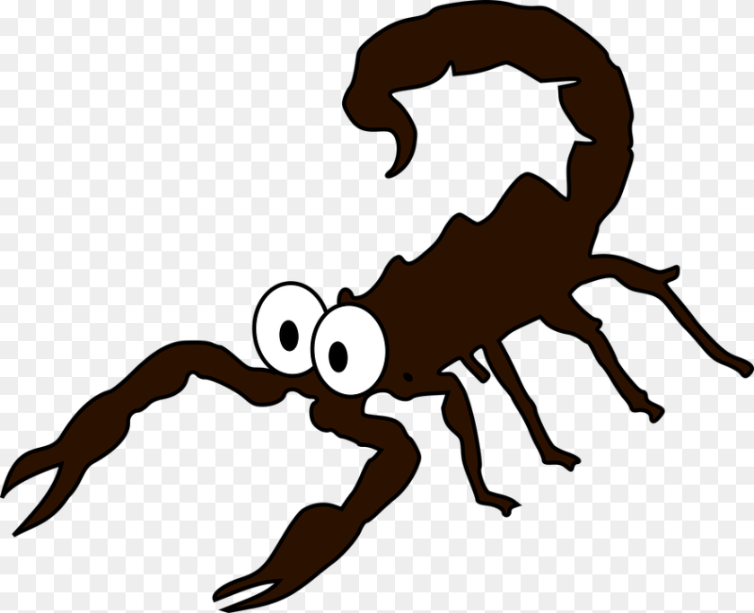 886x720 Scorpion Shop Of Clipart Library Buy Samsung Galaxy J5 Edge Price In India, Person, Animal, Invertebrate Sticker PNG
