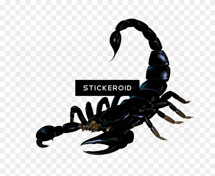 1119x903 Scorpion Tattoo Silhouette Insects Scorpions Skorpion, Invertebrate, Animal, Insect HD PNG Download