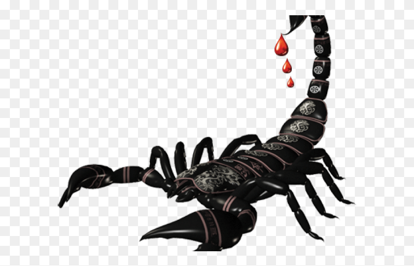 609x481 Scorpions 50th Anniversary Deluxe Collection, Animal, Hook, Scorpion HD PNG Download