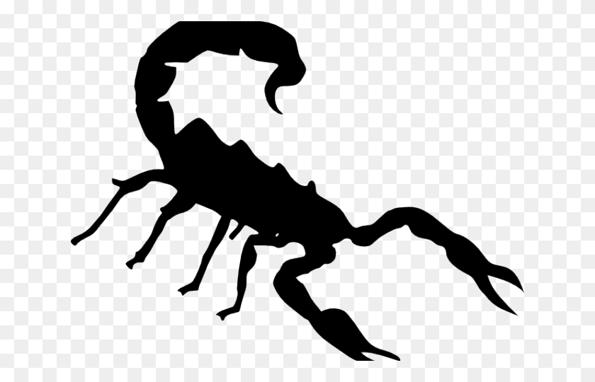 640x480 Scorpions Clipart, Animal, Water, Nature HD PNG Download