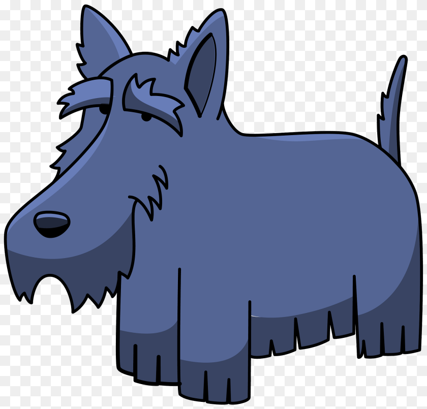 Scotish Terrier Animal, Mammal Clipart PNG