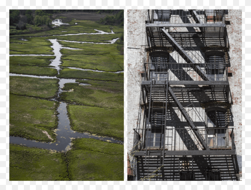 840x622 Scott Mead Equivalents Freshwater Marsh, Handrail, Banister, Outdoors HD PNG Download