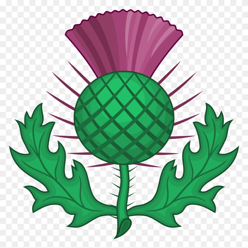 1991x1997 Шотландский Силуэт На Getdrawings Com Free Для Шотландии Символ Чертополоха, Растение, Цветок, Цветение Png Скачать