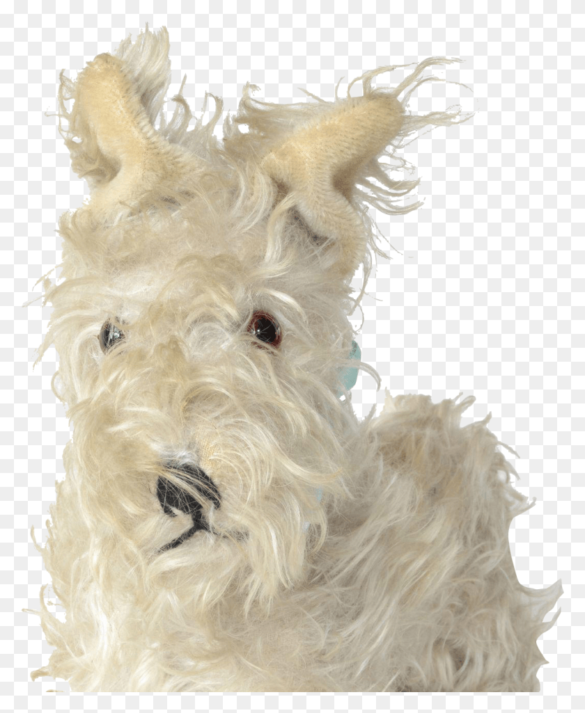 1054x1305 Scottish Terrier, Dog, Pet, Canine HD PNG Download