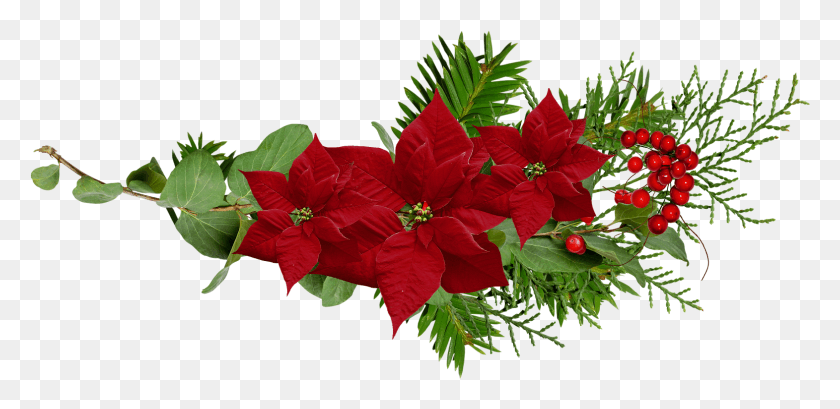 1571x704 Scrap De Navidad 2016 Scrap Para Цветок Клипарт Для Photoshop, Герань, Растение, Цветение Hd Png Скачать