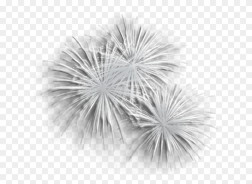 617x553 Scrapbook Clipart Fireworks 4th Of July America Transparent Background White Fireworks, Nature, Outdoors, Night HD PNG Download