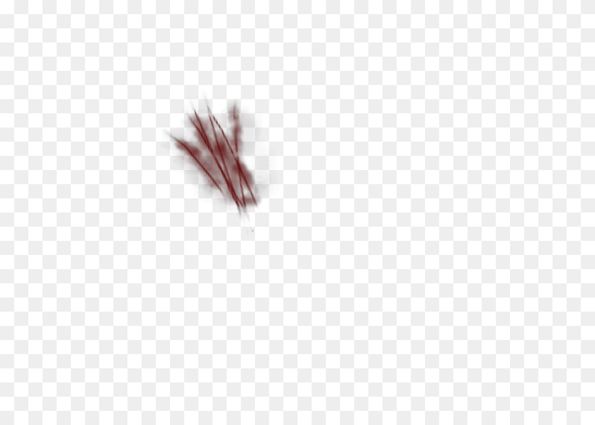 Scratches Transparent Pictures, Flower, Leaf, Petal, Plant PNG