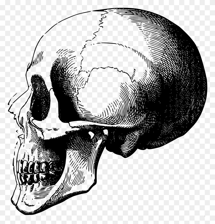 2277x2376 Screaming Skull Head Skeleton Drawing, Gray, World Of Warcraft Descargar Hd Png