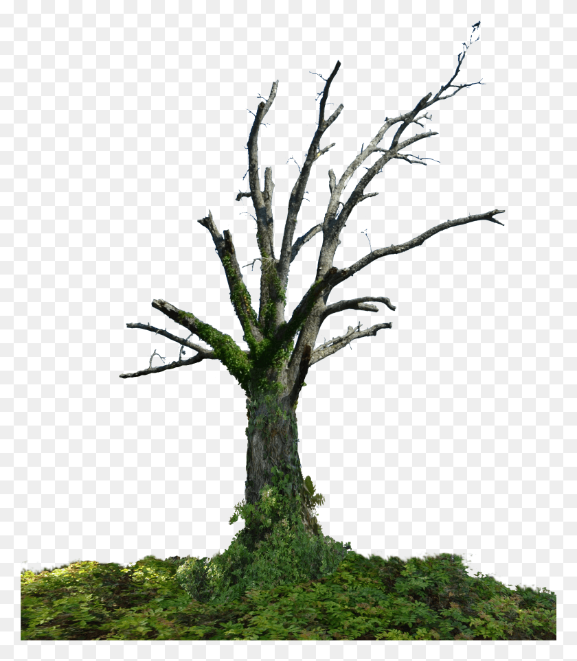 3561x4125 Screen Pixel On The Desktop Picture Dead Tree HD PNG Download