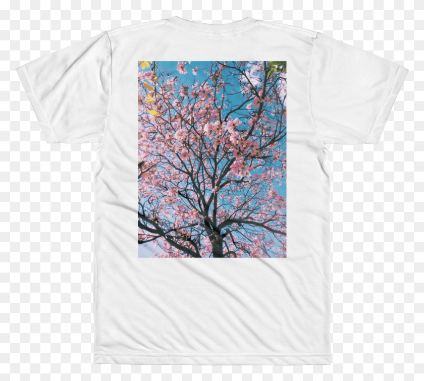 923x823 Scripted Cherry Blossom Cherry Blossom, Clothing, Apparel, Plant HD PNG Download