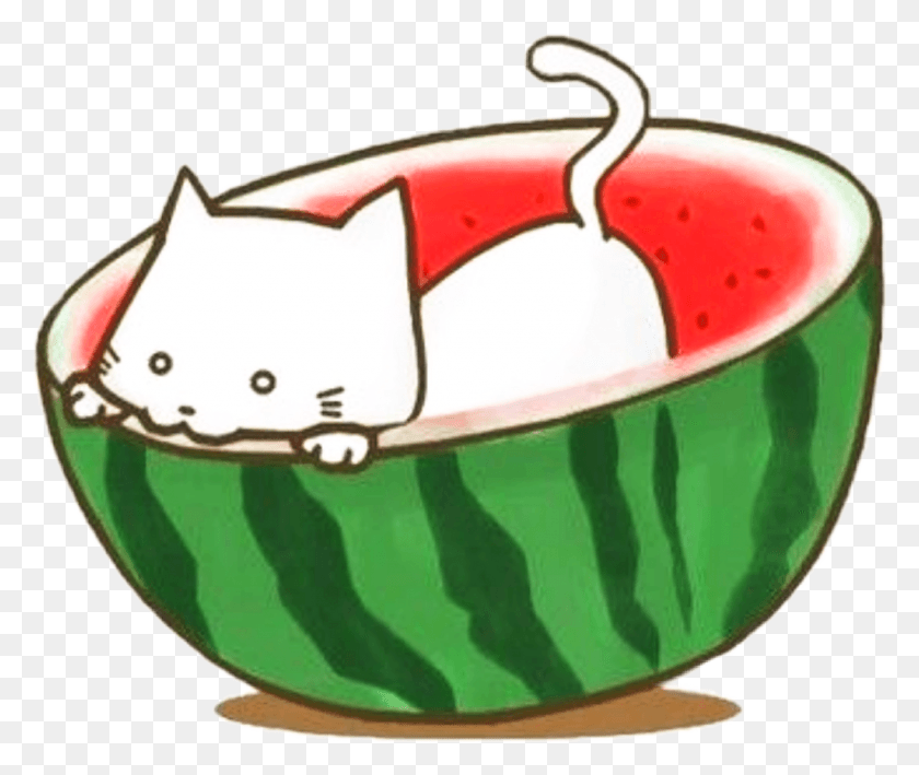 1024x853 Descargar Png / Sandia Tropical Estropical Sandia Kawaii Hd Png