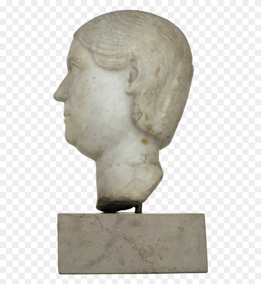 500x856 Escultura De Retrato De Una Mujer Romana Busto, Cabeza, Pájaro Hd Png