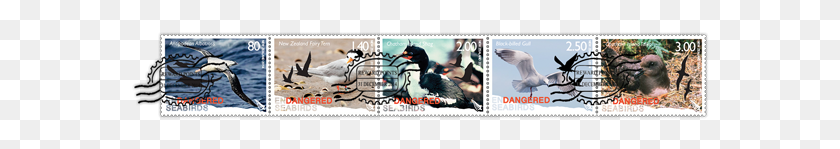 579x89 Se Tenant Set Cancelled Deer, Postage Stamp, Chicken, Poultry HD PNG Download
