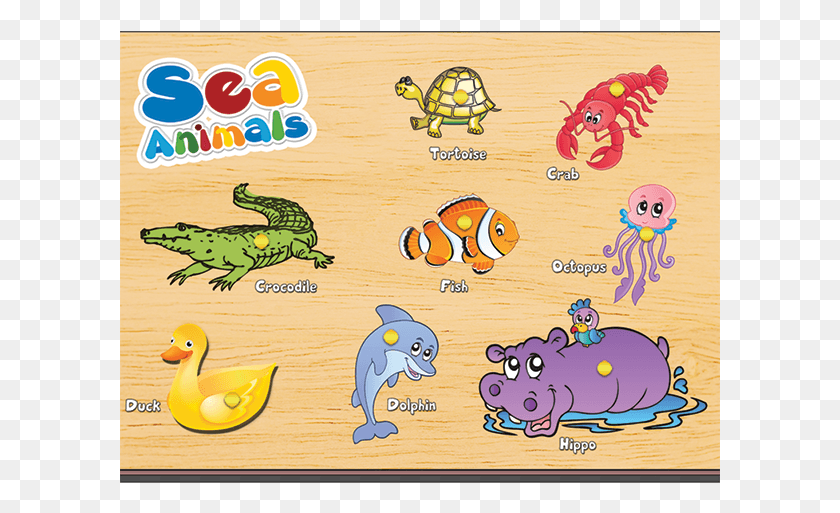 601x453 Sea Animal Cartoon, Bird, Turtle, Reptile HD PNG Download