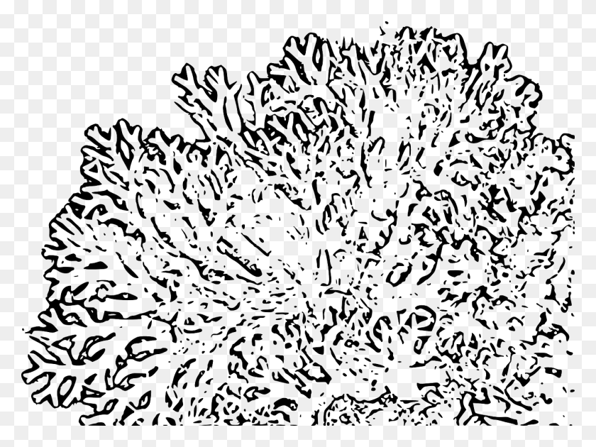 1280x937 Mar Acuario Fósil Océano Imagen Picpng Transparente Arrecife De Coral Clipart, Planta, Patrón, Pantera Hd Png