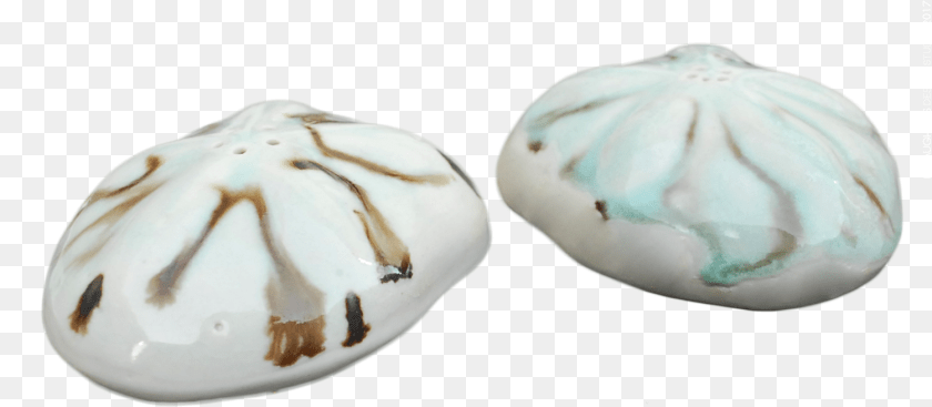 1500x655 Sea Biscuit Salt Pepper Shakers Ceramic, Accessories, Art, Gemstone, Jewelry Sticker PNG