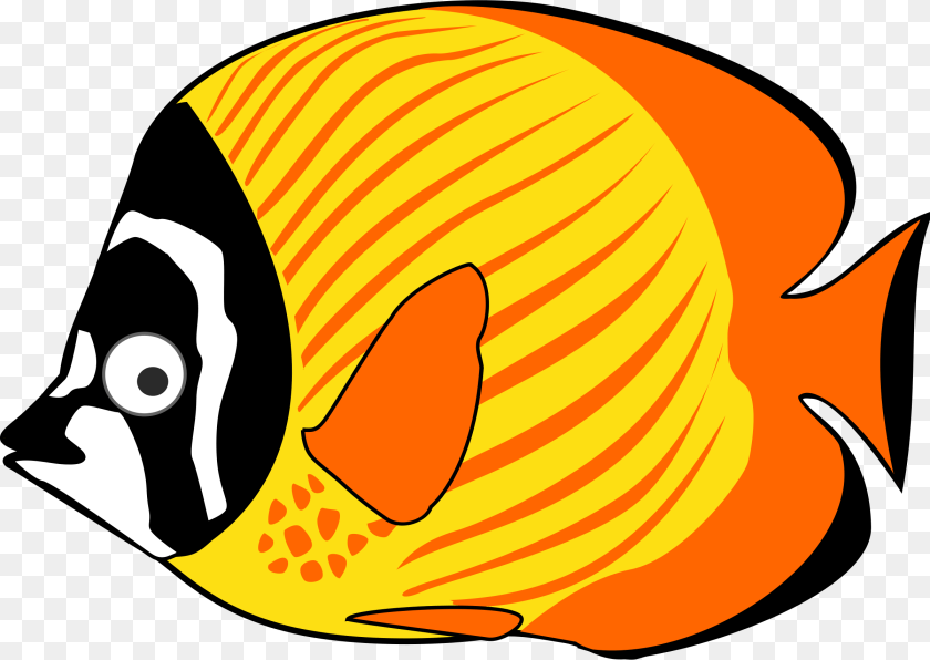 Sea Fish Clip Art, Angelfish, Animal, Sea Life, Rock Beauty Transparent PNG