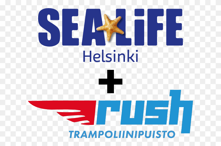 629x496 Sea Life Rush Adult Rush Афины, Морская Жизнь, Животное, Морская Звезда Png Скачать