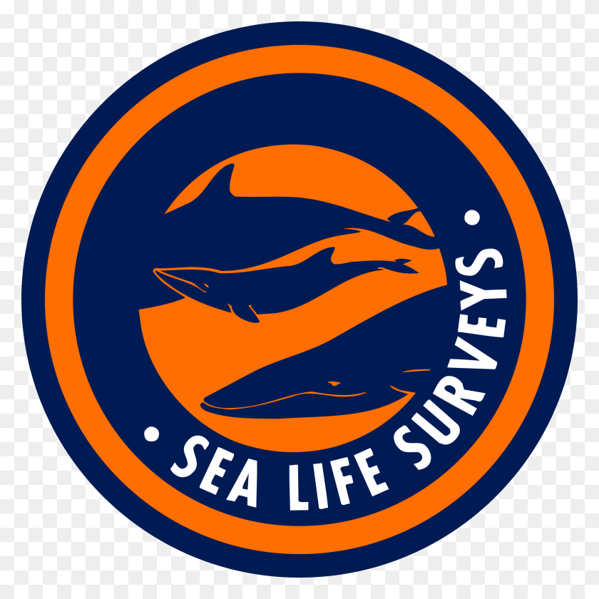 2400x2400 Sea Life Surveys Logo Transparent Steven Universe Sapphire Gemstone, Label, Text, Logo HD PNG Download