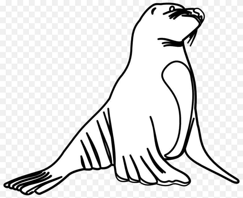 Sea Lion Clip Art, Animal, Mammal, Sea Life, Sea Lion Sticker PNG