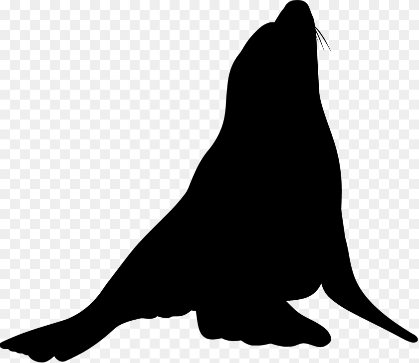 1920x1666 Sea Lion Silhouette, Animal, Mammal, Sea Life, Sea Lion PNG