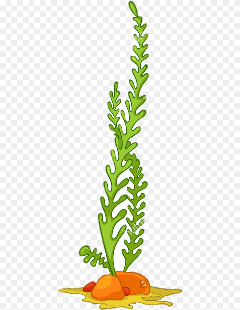 Sea Plant Cartoon, Leaf, Food, Food Presentation, Produce PNG