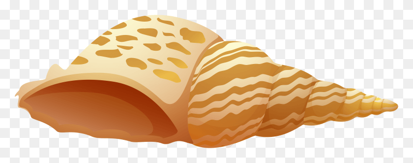 5946x2070 Sea Shell Clip Art Sea Shell Clipart, Bread, Food, Bun HD PNG Download
