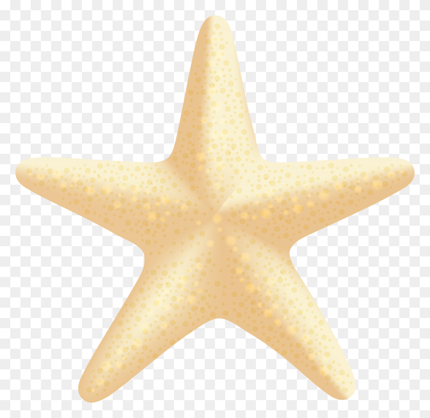 7907x7661 Sea Star Clipart At Getdrawings, Starfish, Invertebrate, Sea Life HD PNG Download