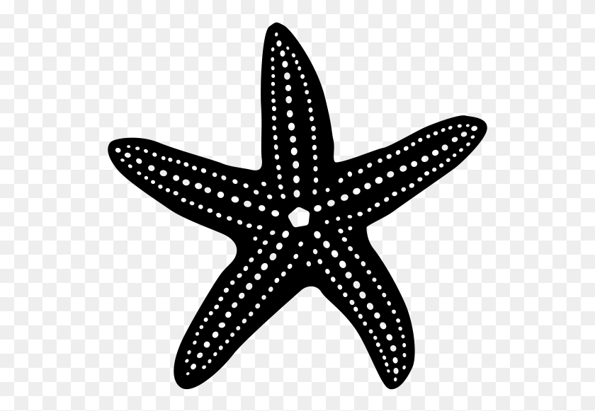 537x521 Sea Star Icon, Gray, World Of Warcraft HD PNG Download