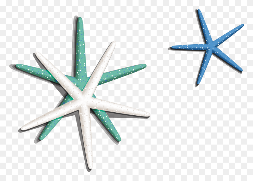 1345x933 Sea Star Image Starfish, Star Symbol, Symbol, Cross HD PNG Download