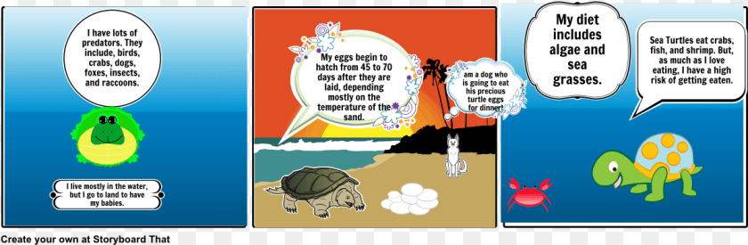 Sea Turtle, Book, Comics, Publication, Animal Clipart PNG
