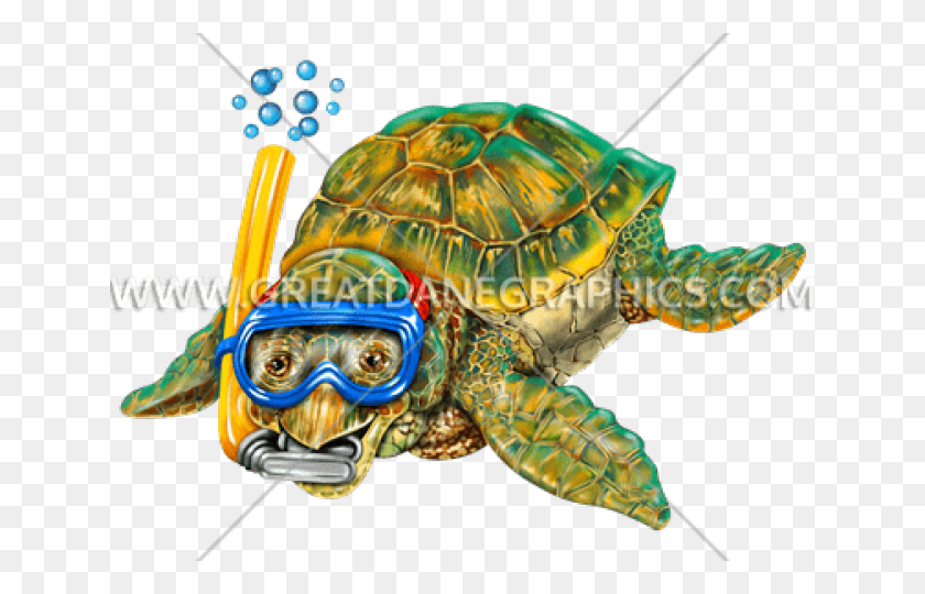 640x480 Sea Turtle Clipart Snorkeling Cartoon Baby Sea Turtles, Turtle, Reptile, Sea Life HD PNG Download