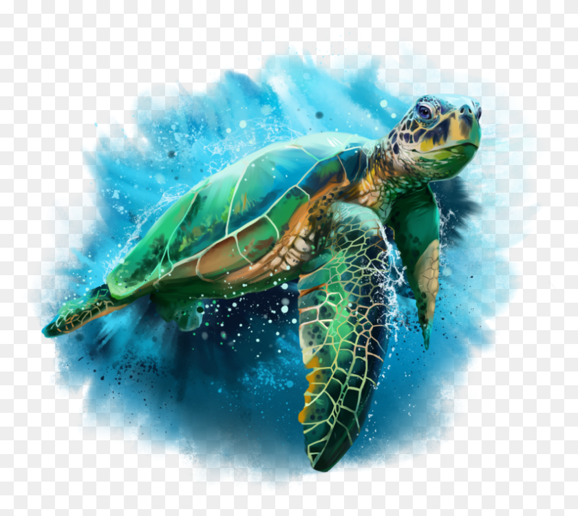792x701 Sea Turtle Watercolor Abstract Sea Turtle, Turtle, Reptile, Sea Life HD PNG Download