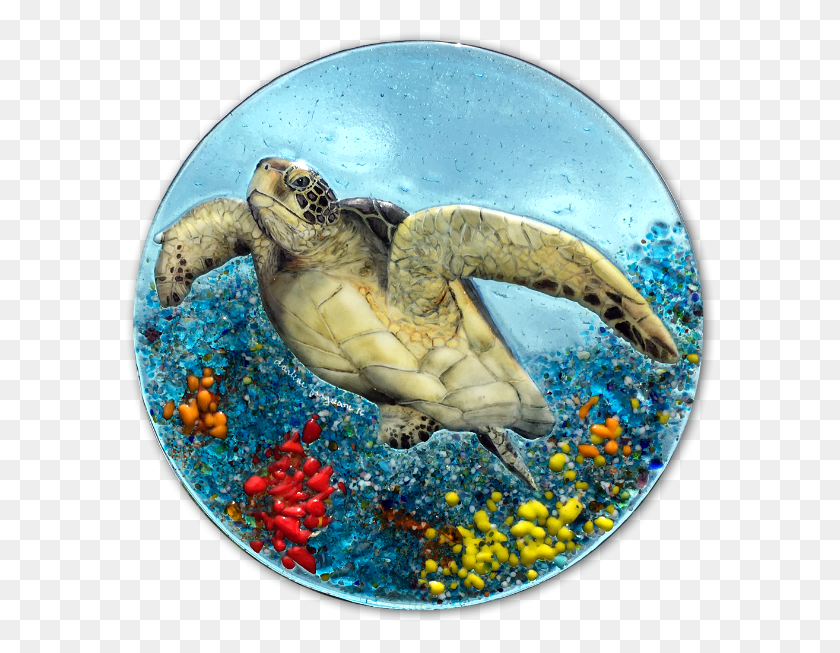 591x593 Sea Turtle With Coral On Aqua Kemp39s Ridley Sea Turtle, Animal, Sea Life, Bird HD PNG Download