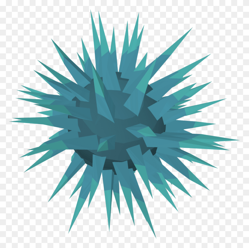 848x845 Sea Urchin Crystal, Nature, Animal, Outdoors HD PNG Download