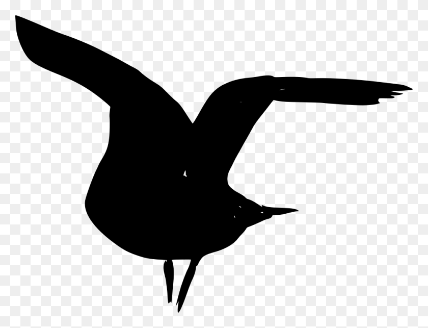 1024x766 Seabird, Gray, World Of Warcraft HD PNG Download