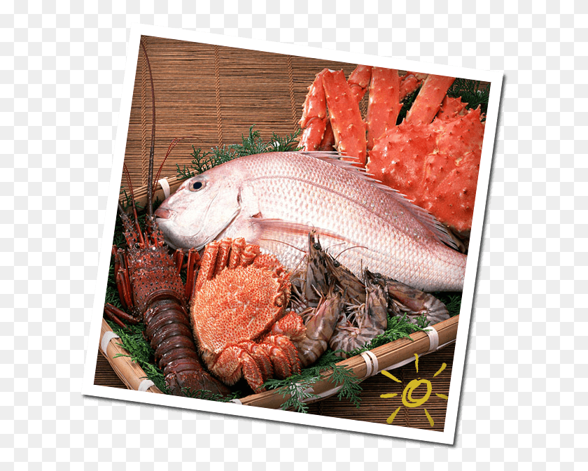 612x613 Seafood Balk Ve Deniz Rnleri, Fish, Animal, Food HD PNG Download