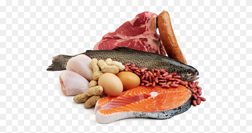 537x384 Морепродукты Клипарт Белок Мясо Рыба И Яйца, Еда, Яйцо, Свинина Png Скачать