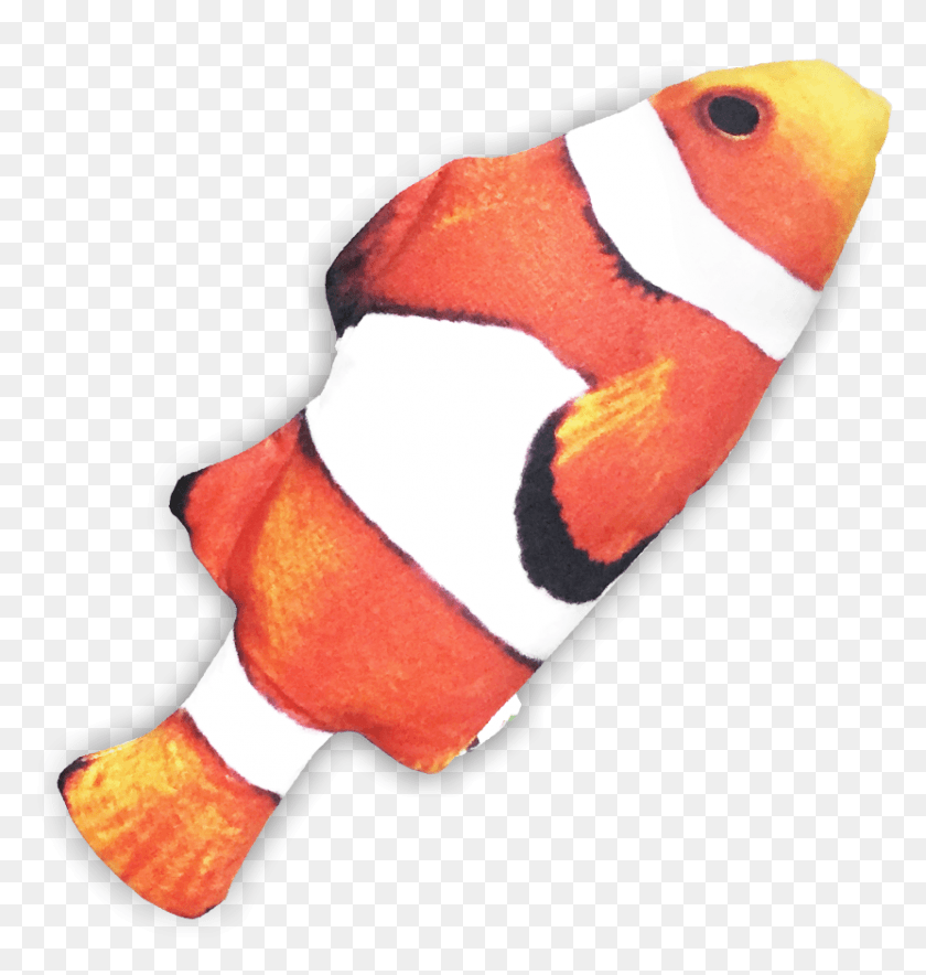Seafood Cuddle Fish Coral Reef Fish, Amphiprion, Sea Life, Animal HD PNG Download