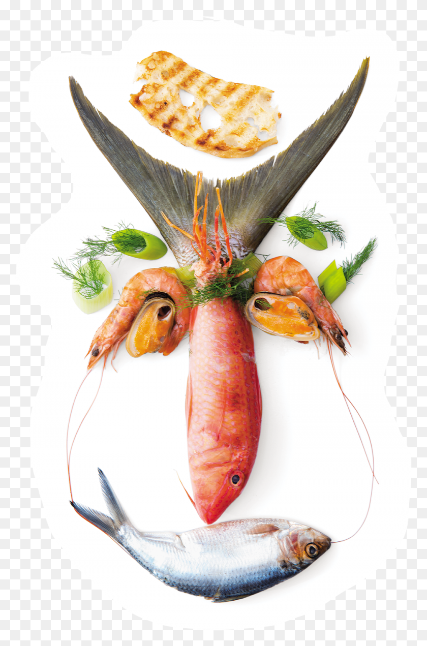 936x1454 Seafood Or See Food Seafood Boil, Lobster, Sea Life, Animal HD PNG Download