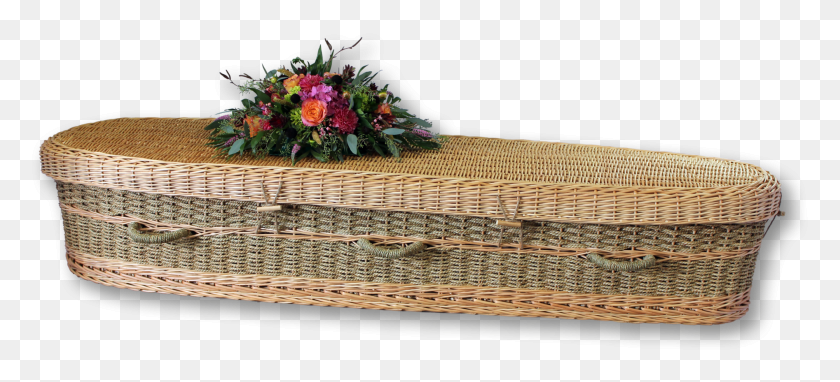 1893x783 Seagrass Casket, Plant, Flower, Blossom HD PNG Download