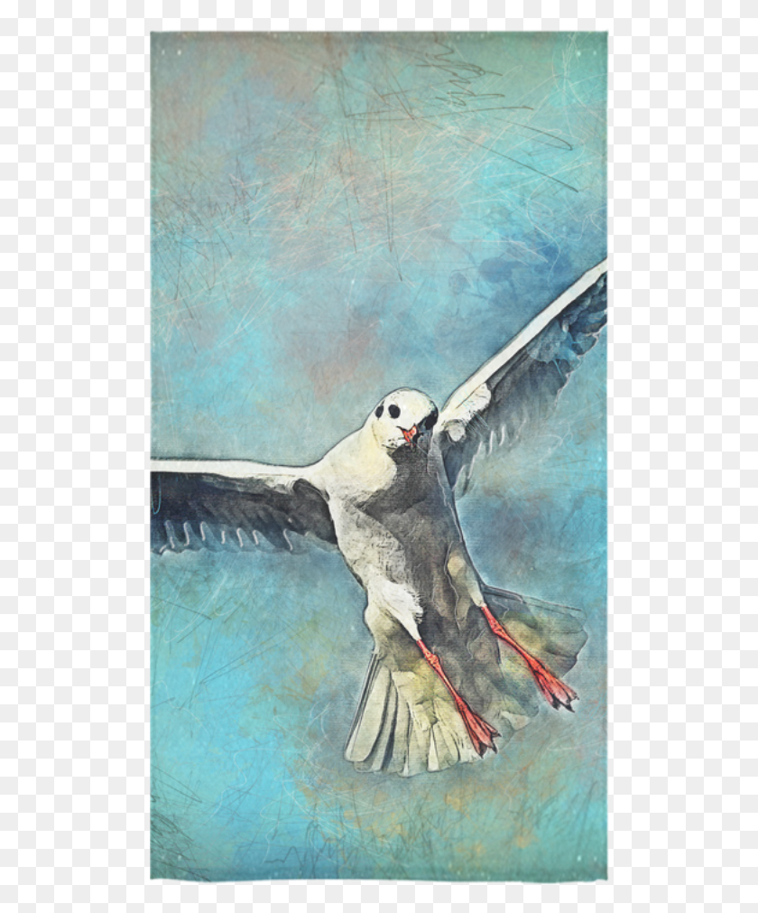 510x951 Seagull Art, Bird, Animal HD PNG Download